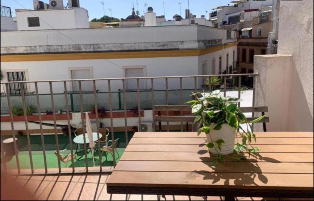Sevilla'S Bed And Terrace — Photos 3